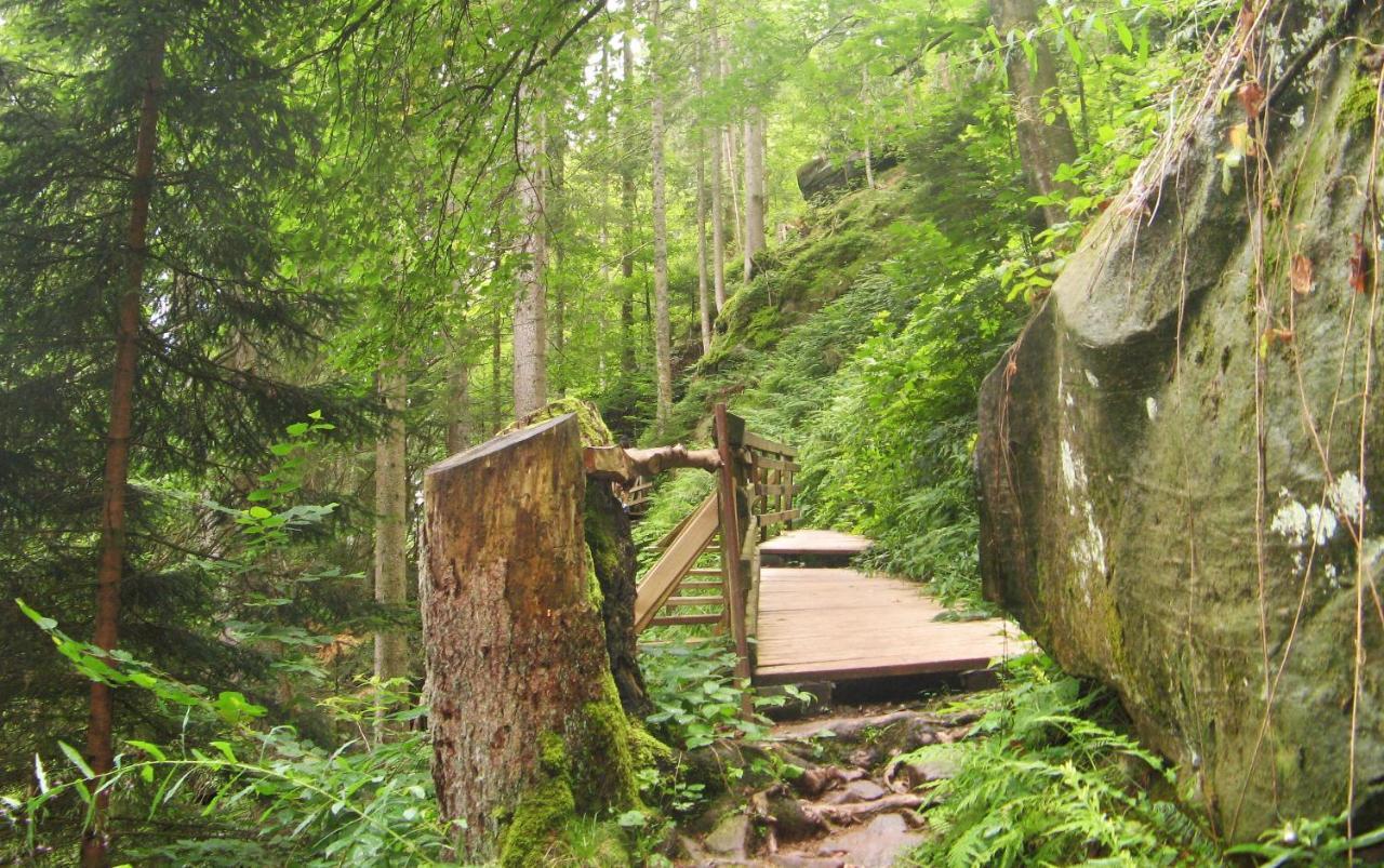 Ferienwohnung Schwarzwald Oase Kniebis Kültér fotó